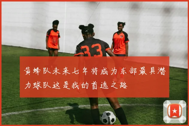 黄蜂队未来七年将成为东部最具潜力球队这是我的首选之路
